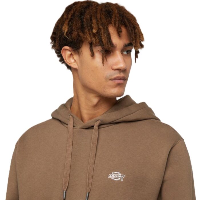DICKIES SUMMERDALE HOODIE MUSHROOM - Image 3