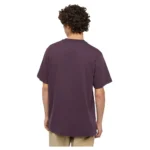 DICKIES ICON LOGO T-SHIRT PLUM PERFECT - Image 2