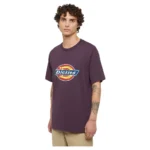DICKIES ICON LOGO T-SHIRT PLUM PERFECT