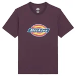DICKIES ICON LOGO T-SHIRT PLUM PERFECT - Image 6