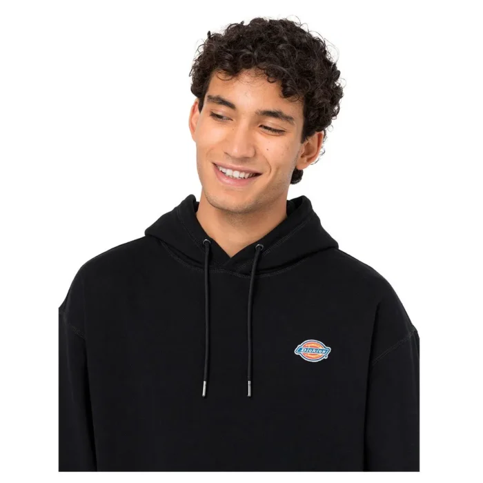 DICKIES MILLERSBURG HOODIE BLACK - Image 3