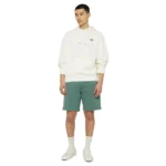 DICKIES MILLERSBURG HOODIE ECRU - Image 7