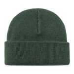 CARHARTT WIP GORDAN BEANIE SYCAMORE TREE - Image 3