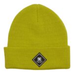 DC LABEL BEANIE APPLE GREEN