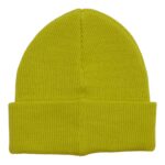 DC LABEL BEANIE APPLE GREEN - Image 2