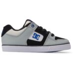 DC YOUTH PURE SHOES WHITE GREY BLUE