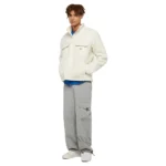 DICKIES PINESDALE JACKET WHITECAP GRAY - Image 4