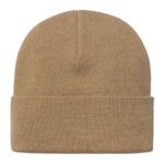 CARHARTT WIP AMERICAN SCRIPT BEANIE PEANUT - Image 2