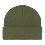 CARHARTT WIP STRATUS HAT LOW TARRAGON - Image 2