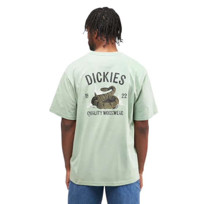 DICKIES SNAKE T-SHIRT ICEBERG GREEN - Image 2