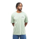 DICKIES SNAKE T-SHIRT ICEBERG GREEN