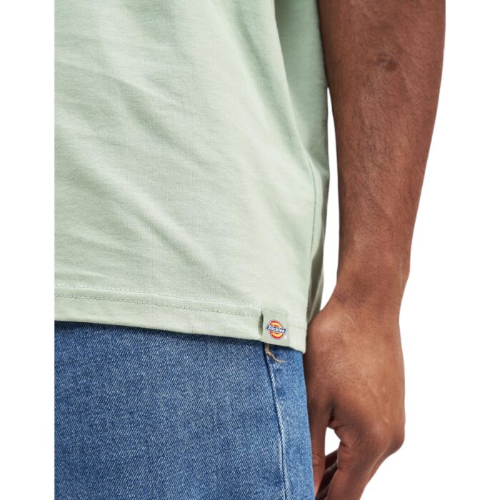 DICKIES SNAKE T-SHIRT ICEBERG GREEN - Image 4