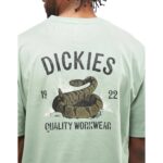 DICKIES SNAKE T-SHIRT ICEBERG GREEN - Image 3