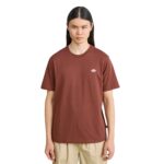 DICKIES MAPLETON T-SHIRT CAPPUCCINO - Image 2