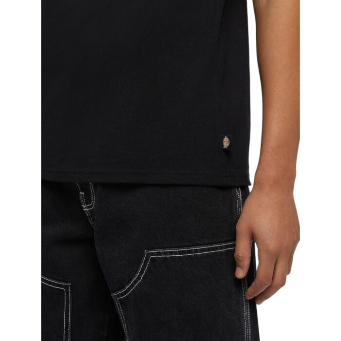 DICKIES CLANCY HEAVYWEIGHT T-SHIRT BLACK - Image 4