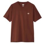 DICKIES MAPLETON T-SHIRT CAPPUCCINO