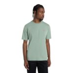 DICKIES MAPLETON T-SHIRT ICEBERG GREEN - Image 3