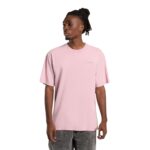 DICKIES PLENTYWOOD T-SHIRT PINK