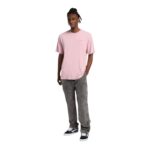 DICKIES PLENTYWOOD T-SHIRT PINK - Image 3