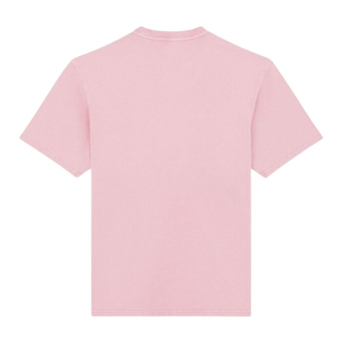 DICKIES PLENTYWOOD T-SHIRT PINK - Image 7