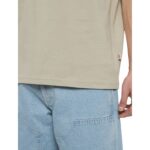 DICKIES SUMMERDALE T-SHIRT SANDSTONE - Image 4