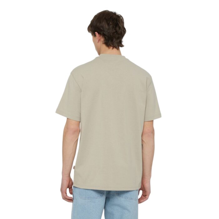 DICKIES SUMMERDALE T-SHIRT SANDSTONE - Image 2