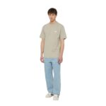 DICKIES SUMMERDALE T-SHIRT SANDSTONE - Image 5