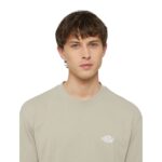 DICKIES SUMMERDALE T-SHIRT SANDSTONE - Image 3