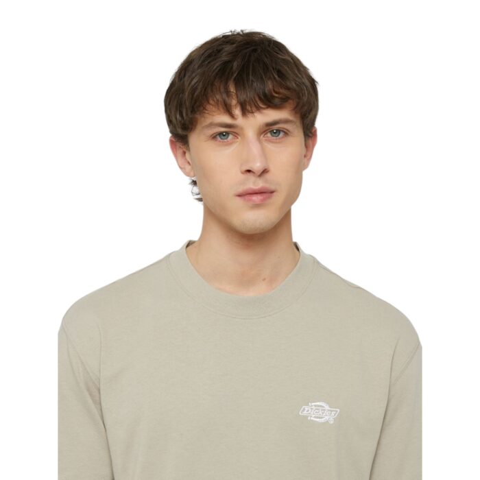 DICKIES SUMMERDALE T-SHIRT SANDSTONE - Image 3