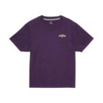 VOLCOM RADICAL DAZE UP T-SHIRT GRAPE ROYALE - Image 7