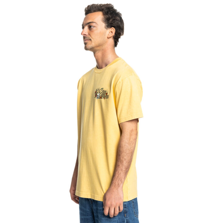 DC STANDOFF T-SHIRT RATTAN RAIN WASH - Image 5