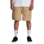 DC TUNDRA CARGO 22 SHORT INCENSE