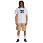 DC TUNDRA CARGO 22 SHORT INCENSE - Image 3