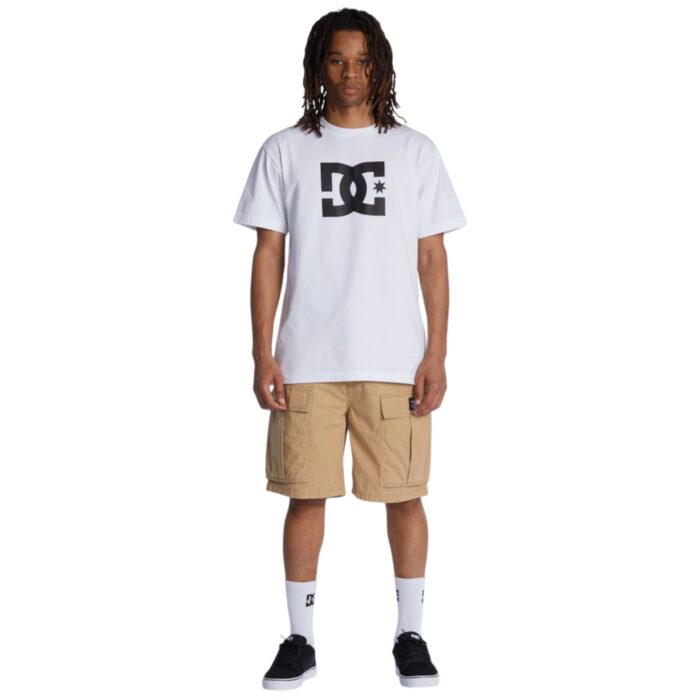 DC TUNDRA CARGO 22 SHORT INCENSE - Image 3