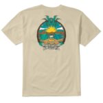 ETNIES CAMP VIBES T-SHIRT SAND - Image 2