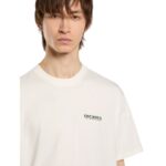 DICKIES BURNS T-SHIRT BEIGE - Image 4
