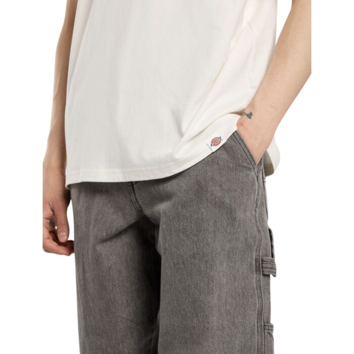 DICKIES BURNS T-SHIRT BEIGE - Image 6