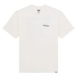 DICKIES BURNS T-SHIRT BEIGE - Image 7