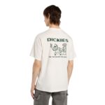 DICKIES BURNS T-SHIRT BEIGE - Image 2