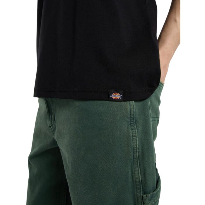 DICKIES BURNS T-SHIRT BLACK - Image 5