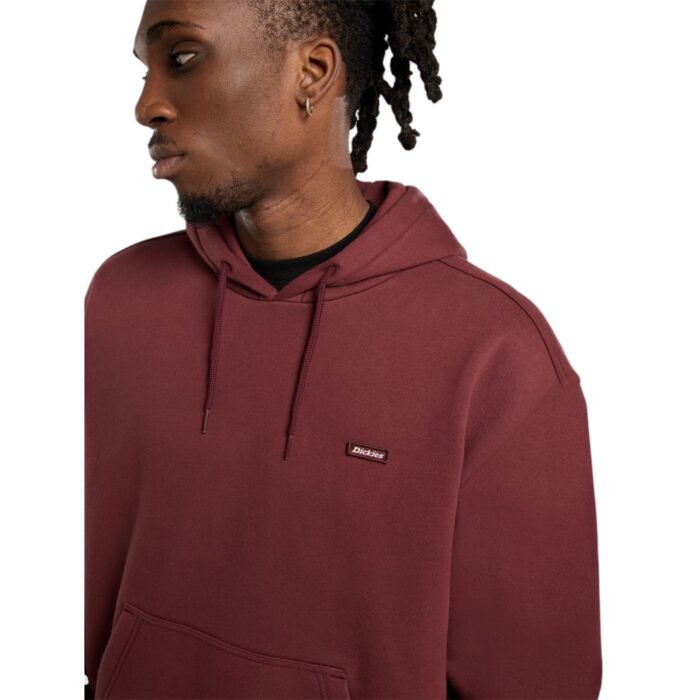 DICKIES CLANCY HOODIE ANDORRA - Image 4