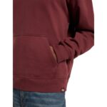 DICKIES CLANCY HOODIE ANDORRA - Image 5