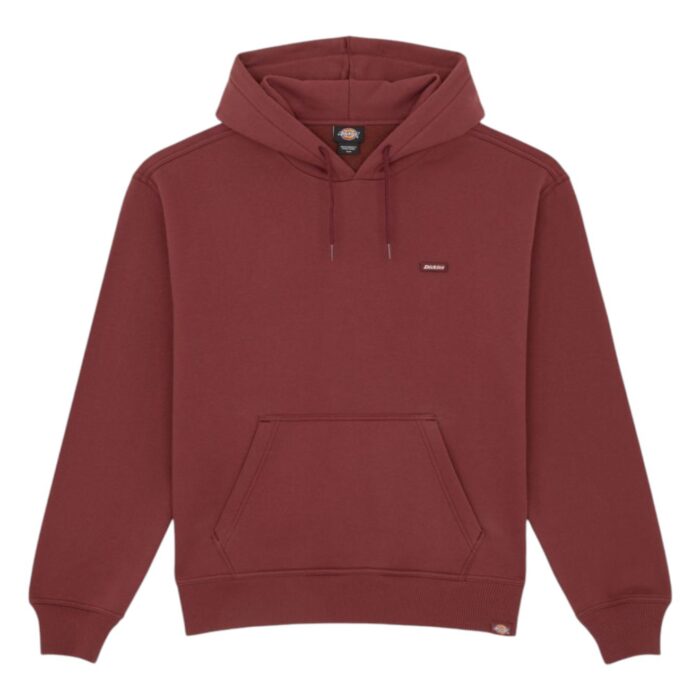 DICKIES CLANCY HOODIE ANDORRA - Image 6
