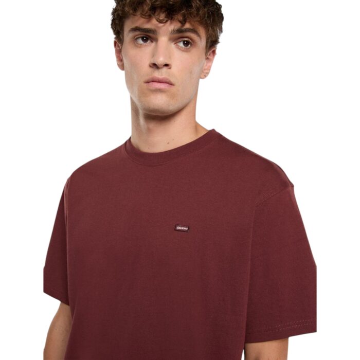 DICKIES CLANCY T-SHIRT ANDORRA - Image 4