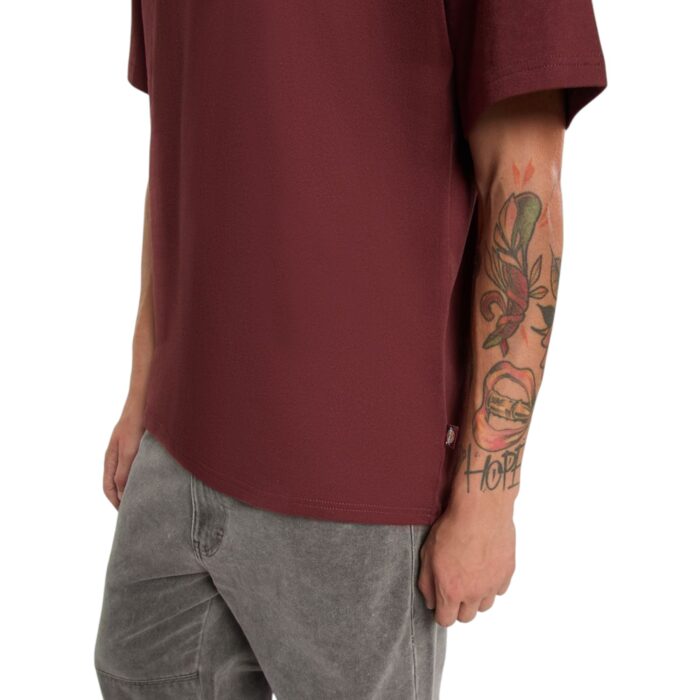 DICKIES CLANCY T-SHIRT ANDORRA - Image 5