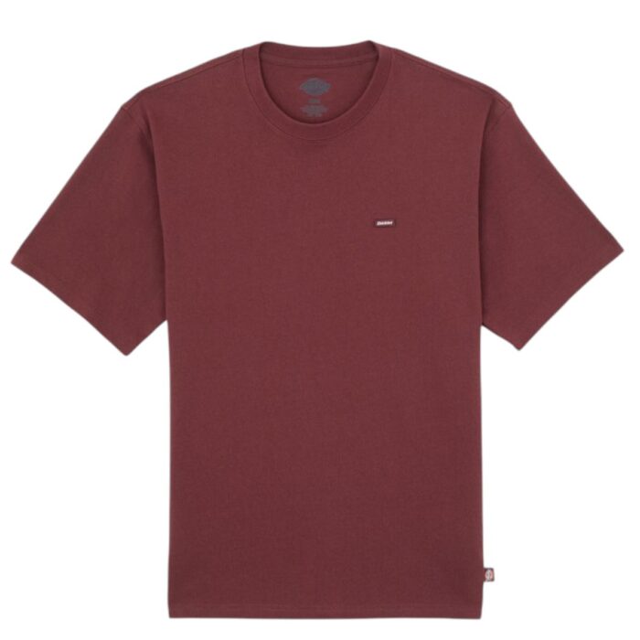 DICKIES CLANCY T-SHIRT ANDORRA - Image 6