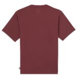 DICKIES CLANCY T-SHIRT ANDORRA - Image 7