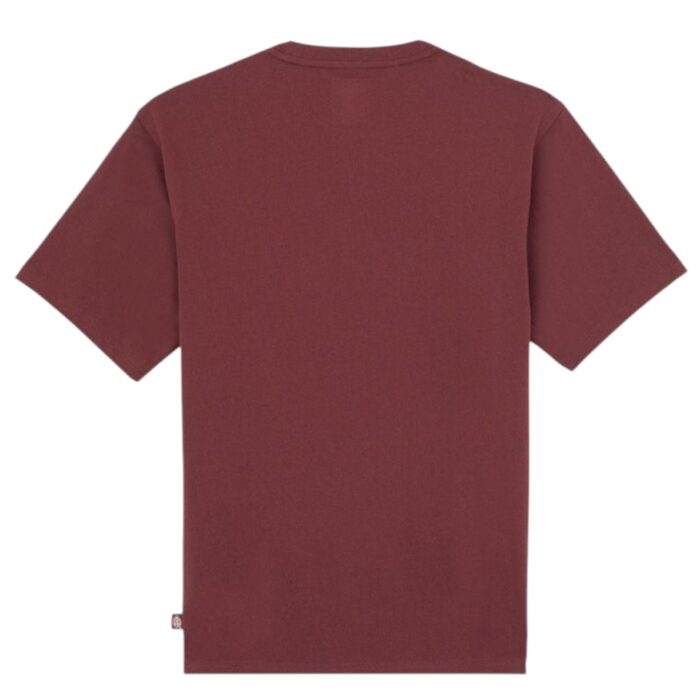 DICKIES CLANCY T-SHIRT ANDORRA - Image 7