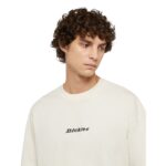 DICKIES ENTERPRISE T-SHIRT WHITECAP GREY - Image 3