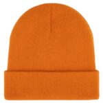 DICKIES GIBSLAND BEANIE AUTUMN MAPLE - Εικόνα 2